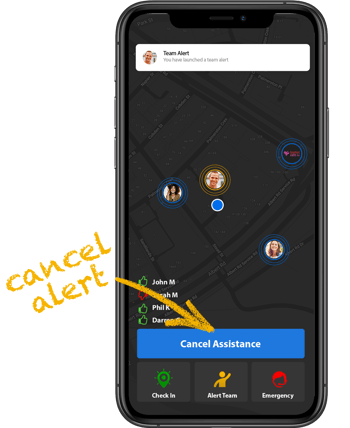 Team Alert - cancel