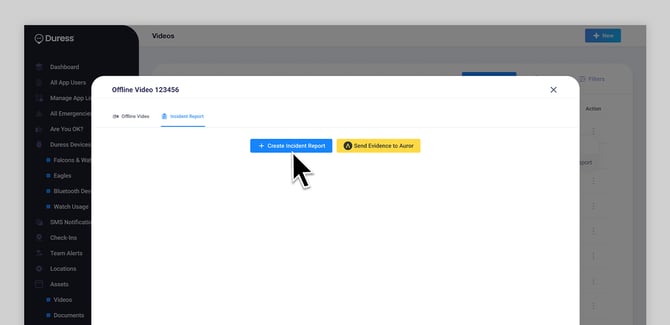 creating-report-offline-video